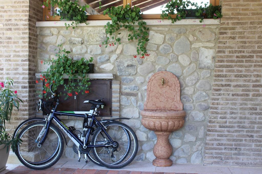 Giardino Degli Ulivi Διαμέρισμα Caprino Veronese Εξωτερικό φωτογραφία